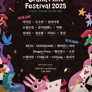 그랜드 민트페스티벌 2025 토,일요일 1일권 티켓양도