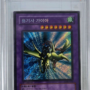 용기사가이아 1st (LOB-K125)