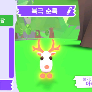 입양하세요 펫 메가 네온 북극 순록 (흰순록)판매합니다