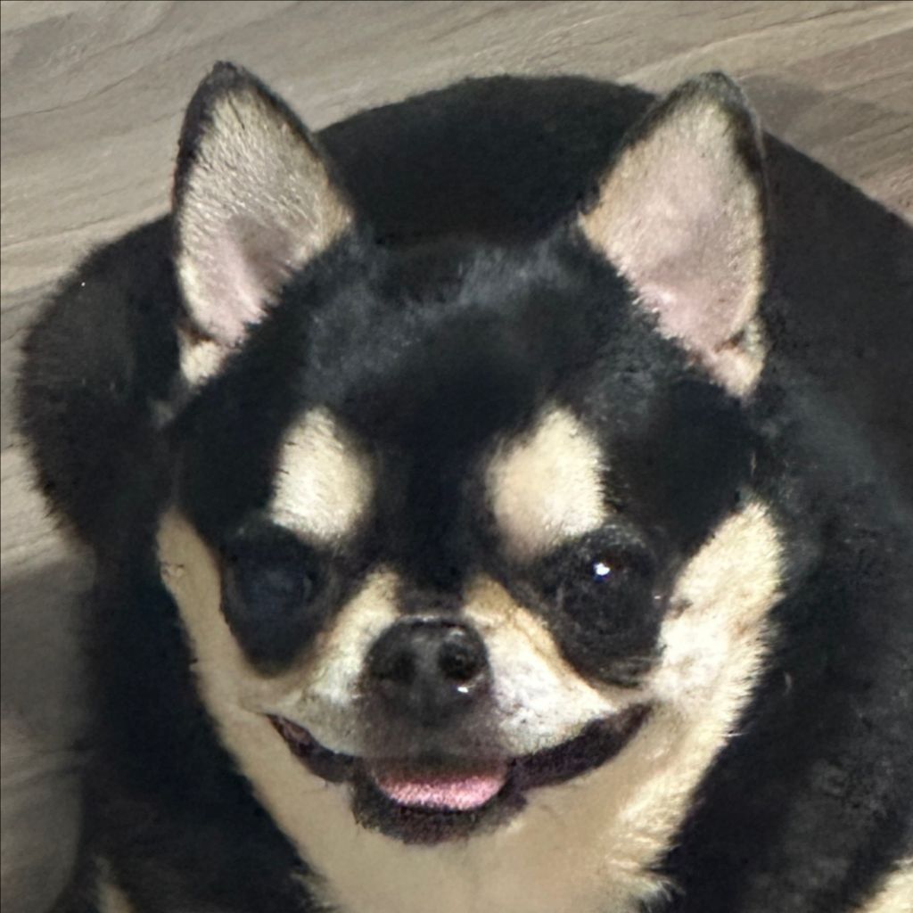 profile-image