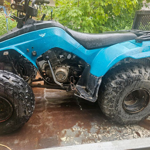 엘티160부풍