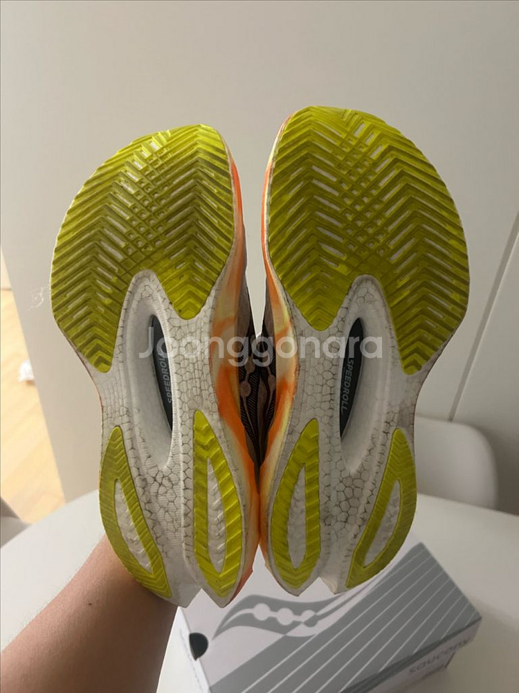 써코니 엔돌핀 프로4 엔프4 260mm--3