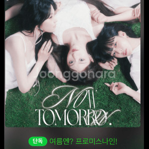 프로미스나인 8/9일 금요일 첫콘 중콘 최저가~!