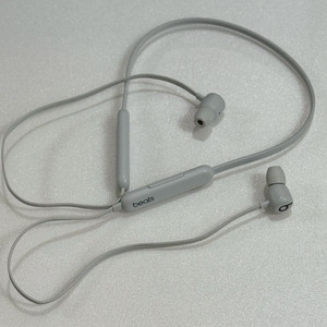 애플 비츠 플렉스 이어폰