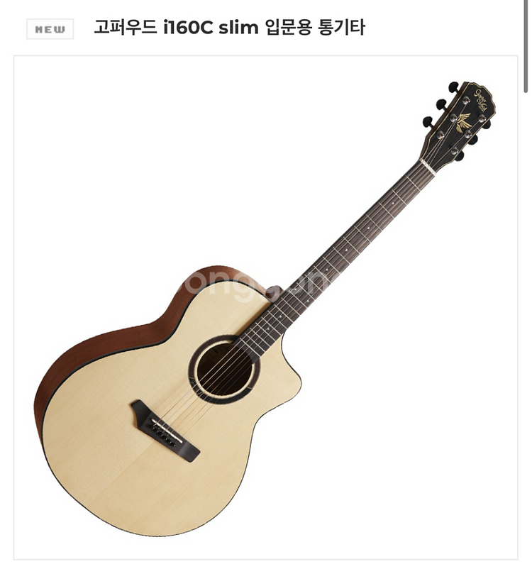 고퍼우드 i160 기타--0