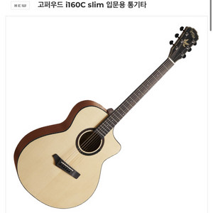 고퍼우드 i160 기타