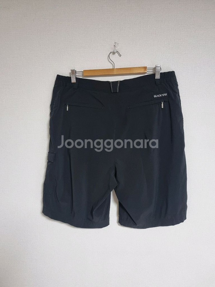 블랙야크 남성 등산반바지 36--3