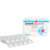 젠토닐(ZENTONIL) 강아지 간영양제 1.5통 판매