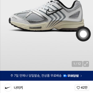 나이키 에어 페가수스 v2k 230