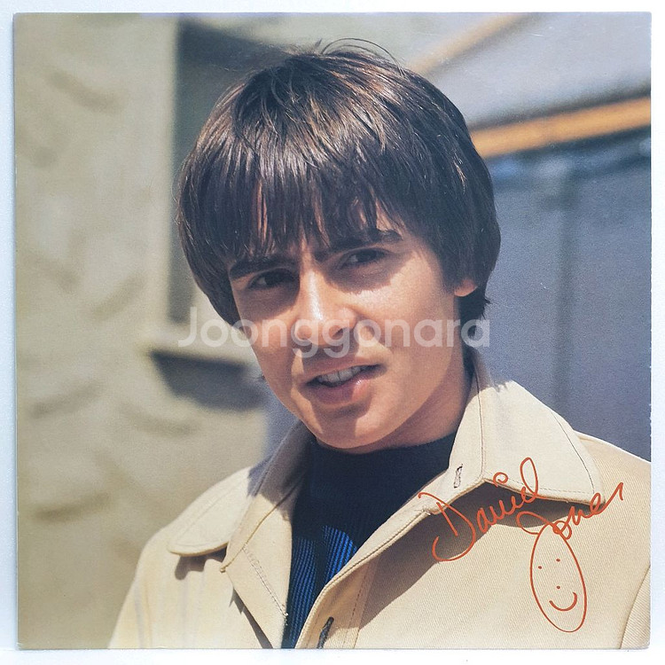 (일본/LP) Davy Jones 데이비 존스--0