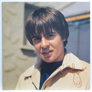 (일본/LP) Davy Jones 데이비 존스