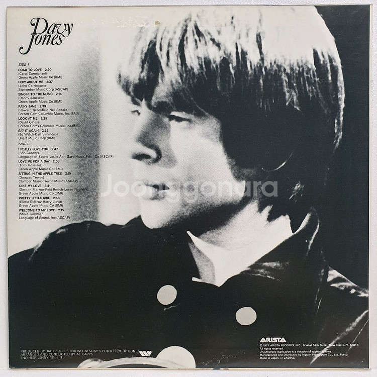 (일본/LP) Davy Jones 데이비 존스--1