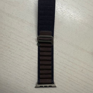 애플워치 정품 스트랩
