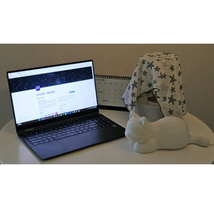 삼성 갤럭시북2 PRO 360 (NT950QED)