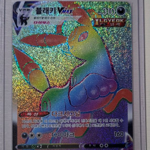 포켓몬카드 블래키 HR