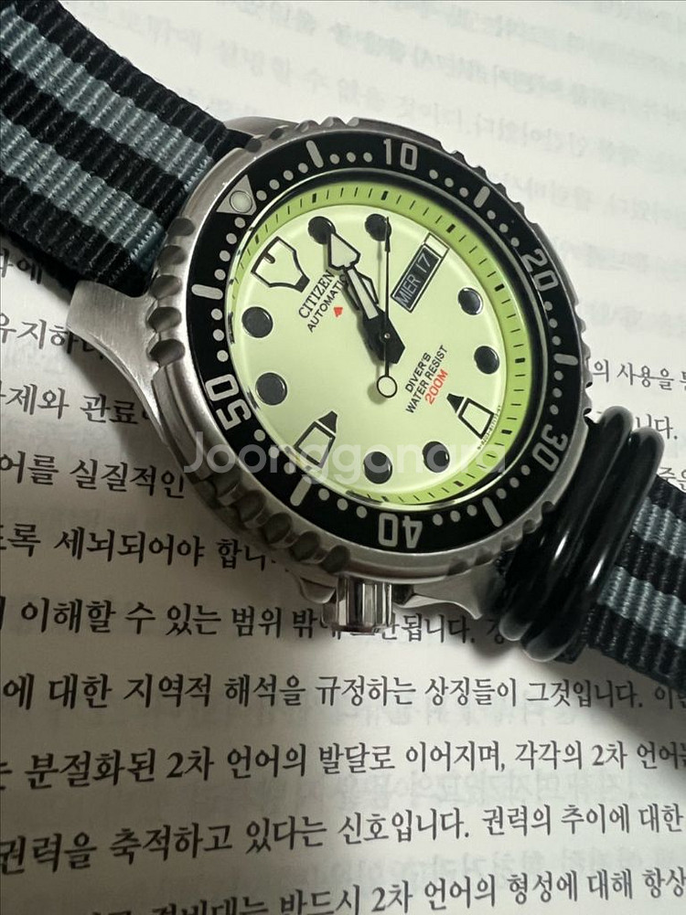시티즌 복어 풀루메 팝니다.--0