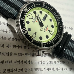 시티즌 복어 풀루메 팝니다.
