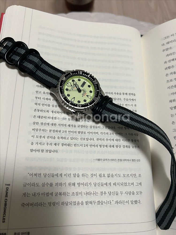 시티즌 복어 풀루메 팝니다.--1