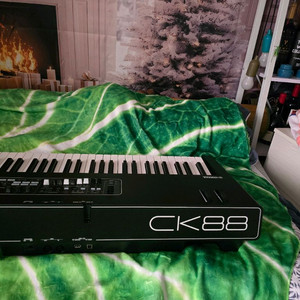 YAMAHA CK88