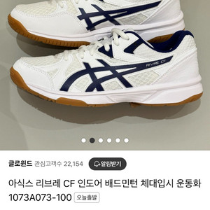 미즈노 리브레 배구화