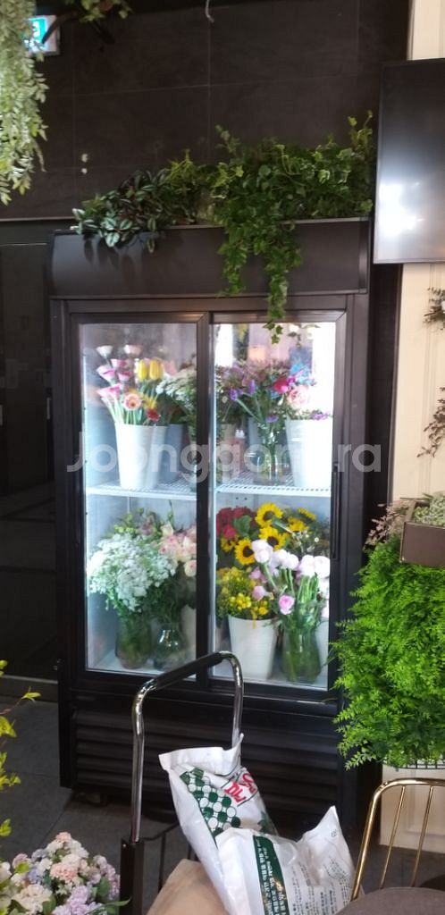 음료수냉장고 업소용냉장고 냉장쇼케이스--8