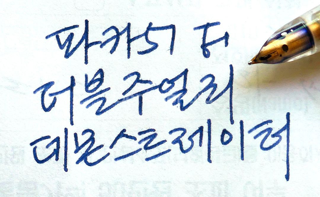 파카 51 만년필 더블주얼리 데몬스트레이터 GF- F--9