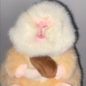 봉제인형 햄스터