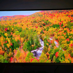 최상급 27인치 360hz oled 모니터 팔아요 이미지