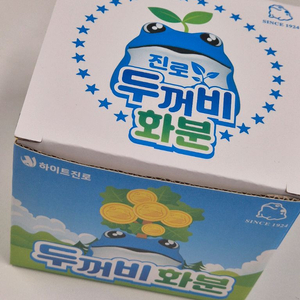 진로 두꺼비화분 4개세트