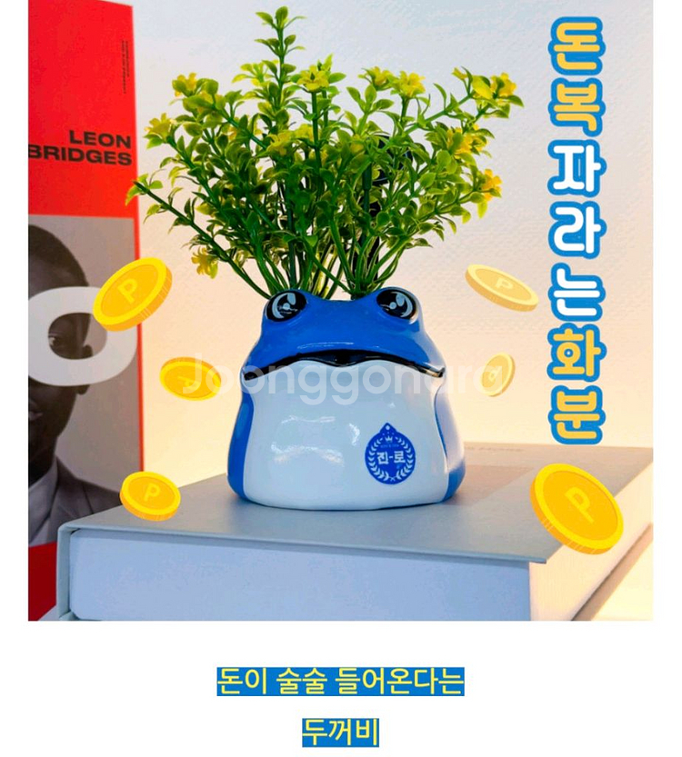 진로 두꺼비화분 4개세트--3