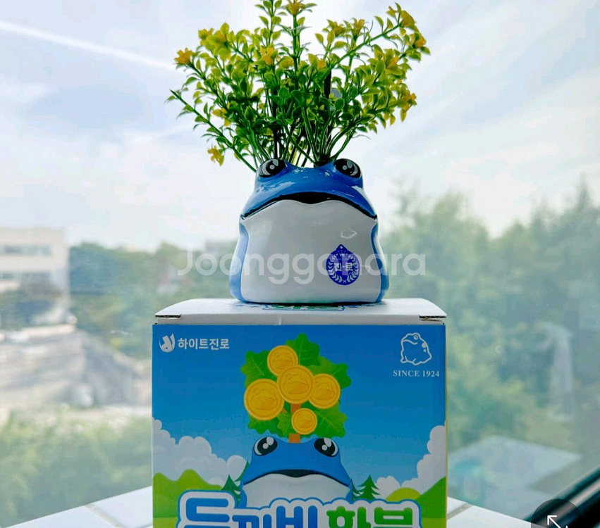 진로 두꺼비화분 4개세트--4