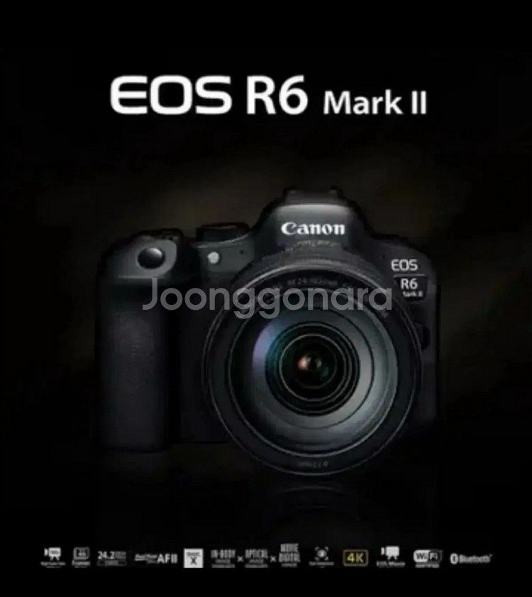캐논 백오백 + 알육막투 / rf100-50 r6m2--1