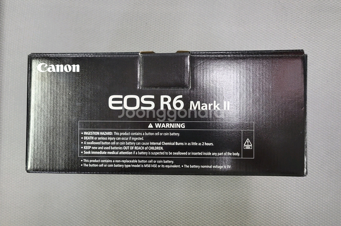 캐논 EOS R6 Mark II--0