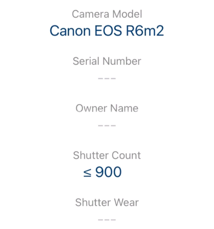 캐논 EOS R6 Mark II--1