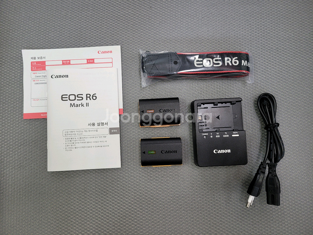 캐논 EOS R6 Mark II--6