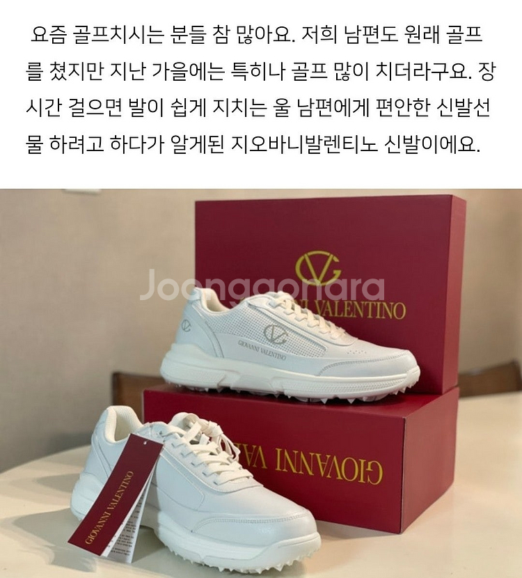 [정품] 지오바니 발렌티노 트래블 골프화--6