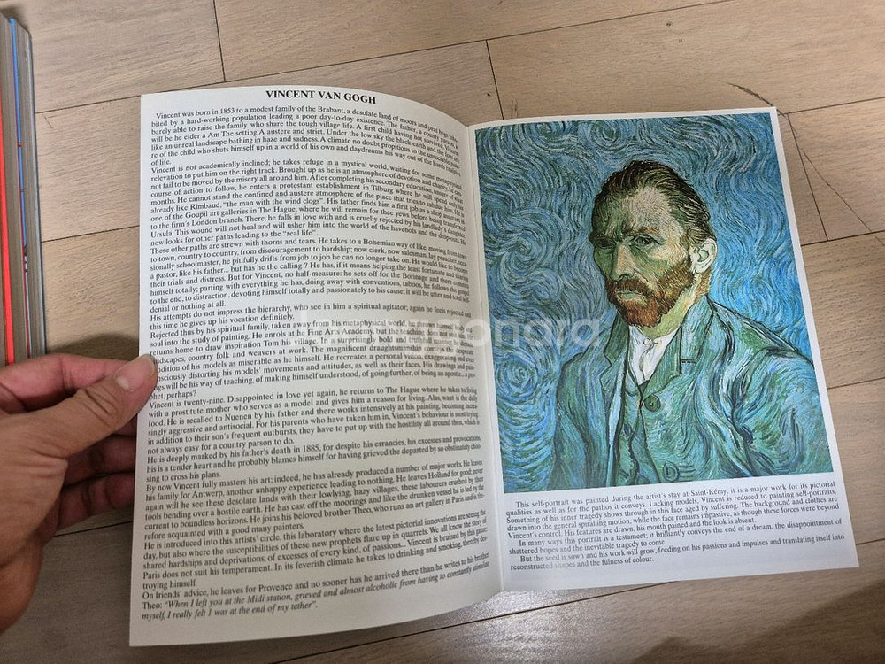 VAN GOGH in Provence 페이퍼북--2