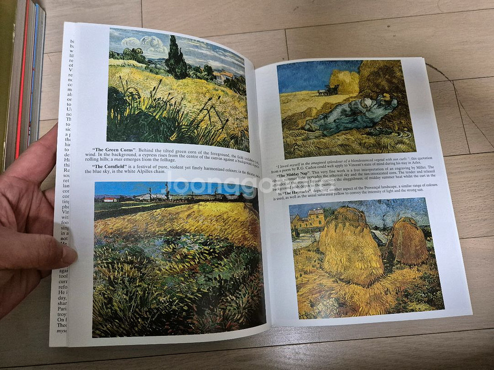 VAN GOGH in Provence 페이퍼북--4