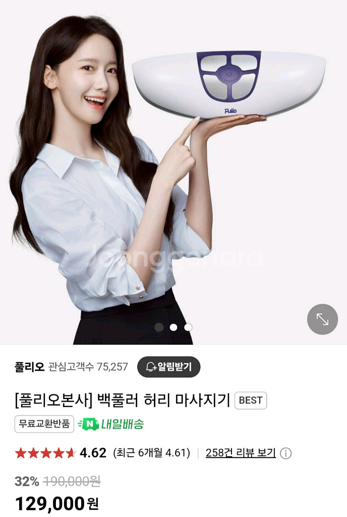 풀리오 백풀러 허리 마사지기--1