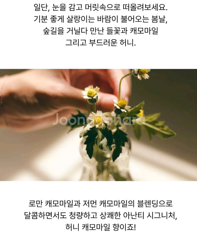 아난티 허니 캐모마일 바디워시 500ml--3
