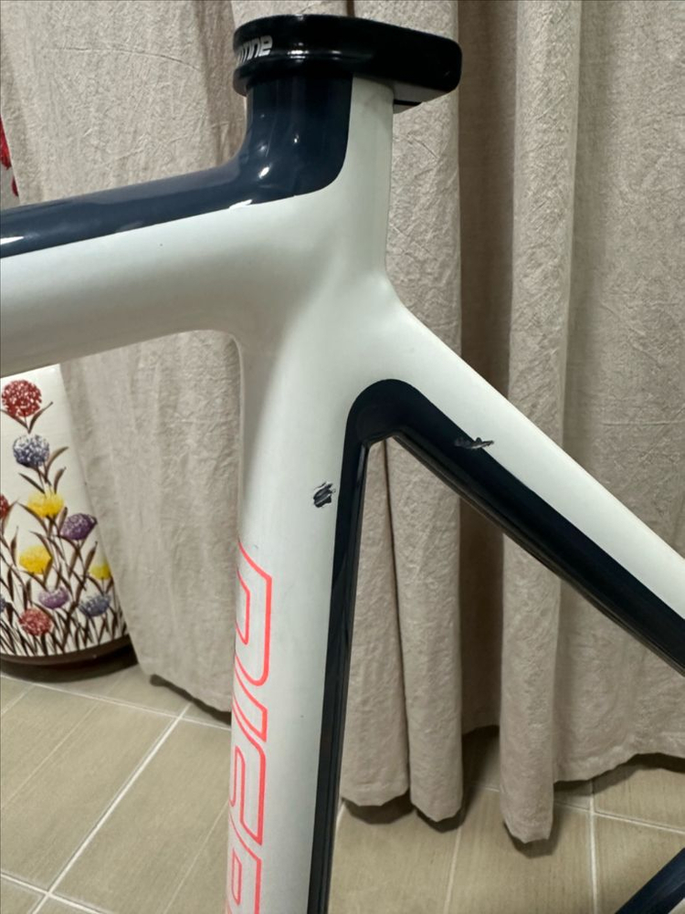 콘스탄틴 디스페랄 2024 건담 이미지