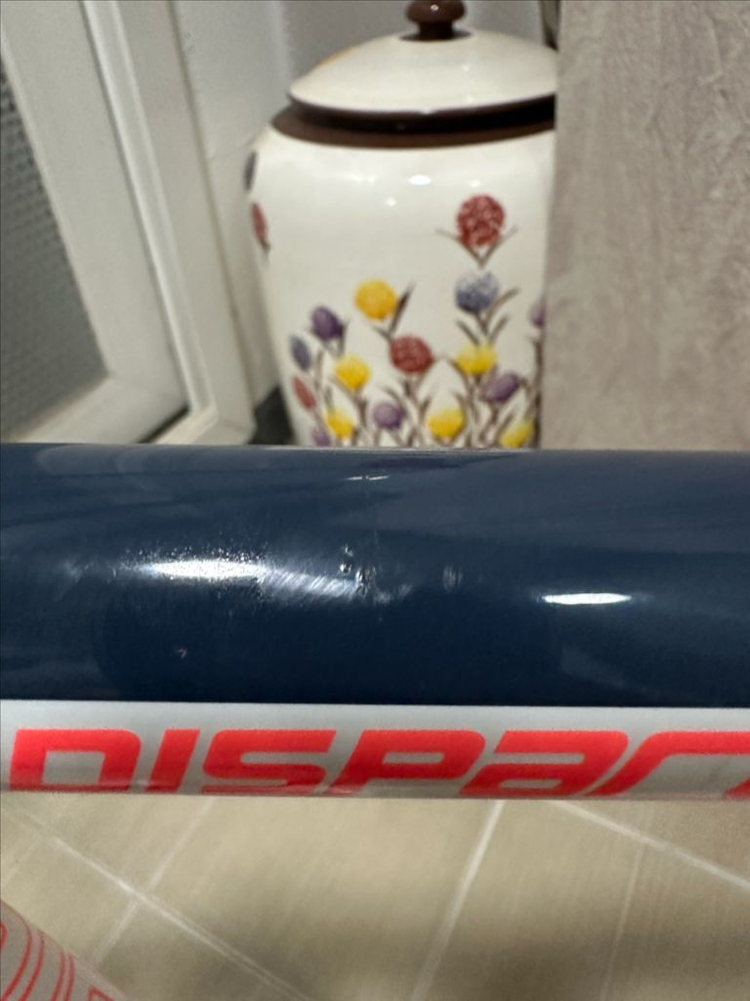 콘스탄틴 디스페랄 2024 건담 이미지