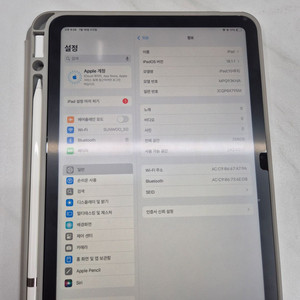 아이패드 10세대 256GB + 애플펜슬 USB-C
