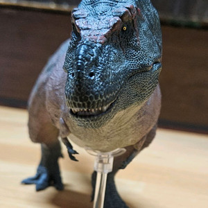 Rebor 리보 티라노사우루스 키스 공룡 피규어