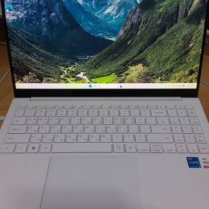 랠럭시북NT950XDB i5-1135G7 SSD768