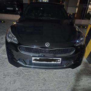 스팅어 전방 그릴 상단,하단 카본 몰딩 커버 팝니다.