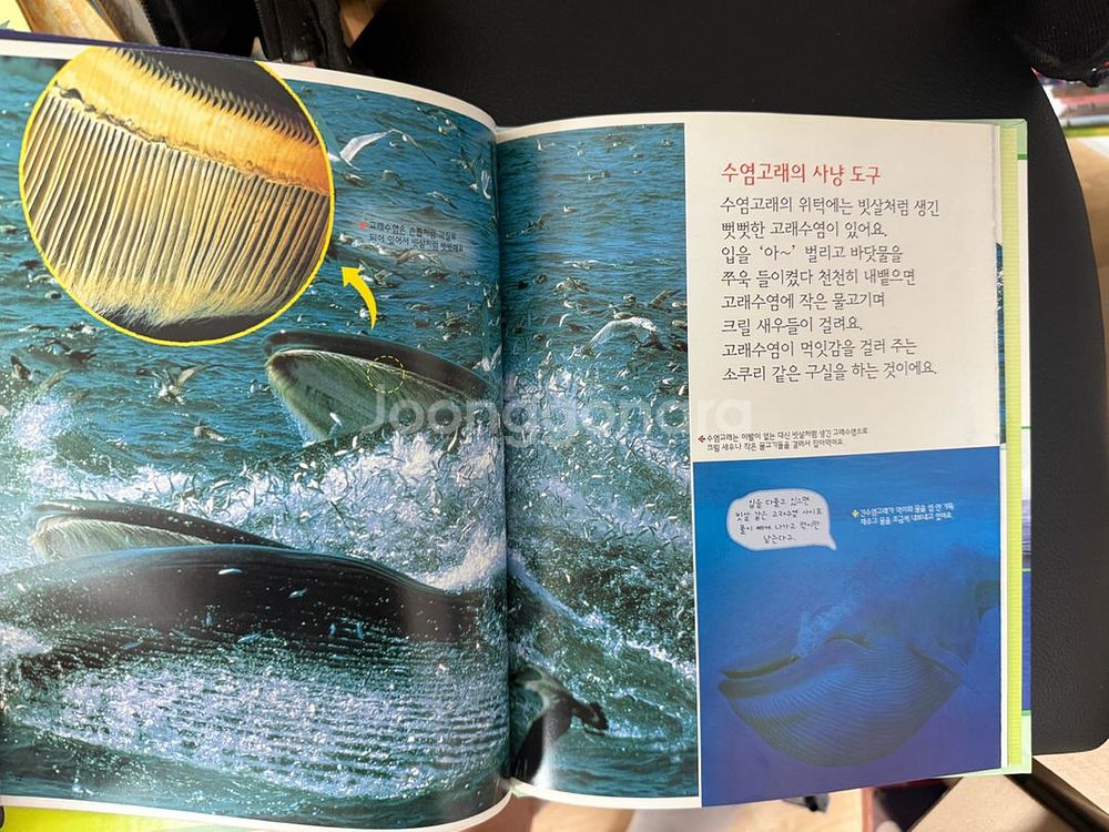 한국 슈타이너 올빼미 자연 관찰 도서 전집 판매 해요--3