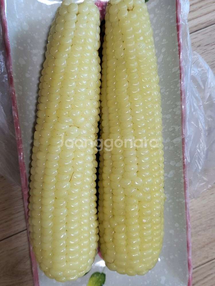 강원도 찰 옥수수 1망 남음--0