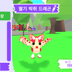입양하세요 펫 딸기 박쥐 드래곤(딸박) 판매합니다.