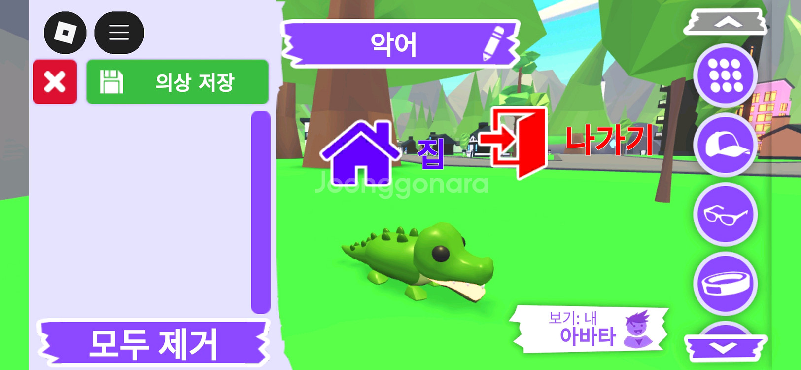 입양하세요 펫 악어 판매합니다--1